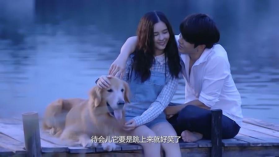 什么方法能美白牙齿？-知识星球平台，专注分享知识